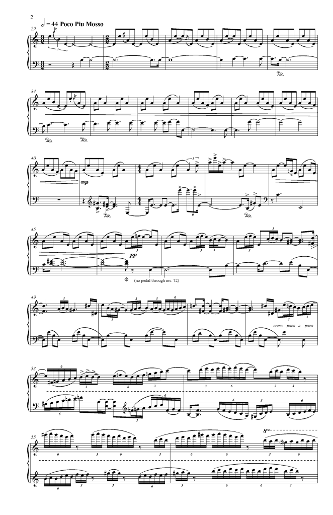 Capricious Invariance Website Pages_Page_4