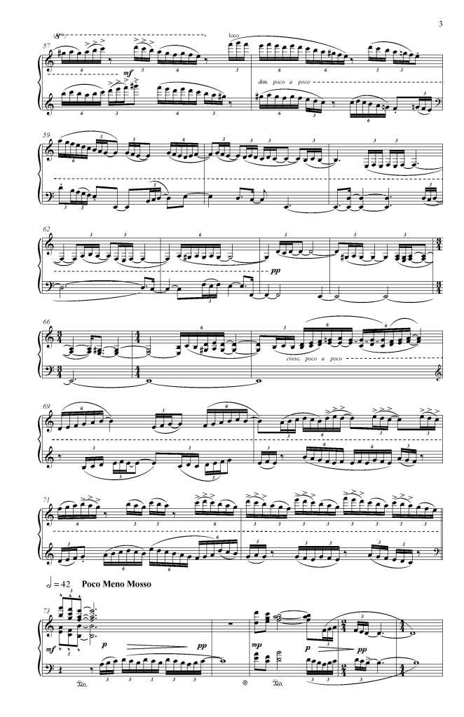 Capricious Invariance Website Pages_Page_5