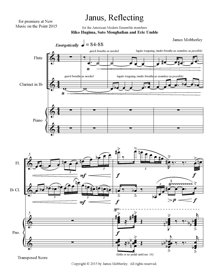 Janus Reflecting Website Pages_Page_3