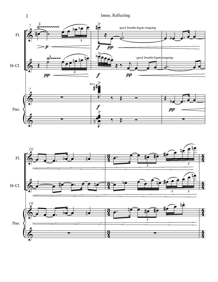 Janus Reflecting Website Pages_Page_4