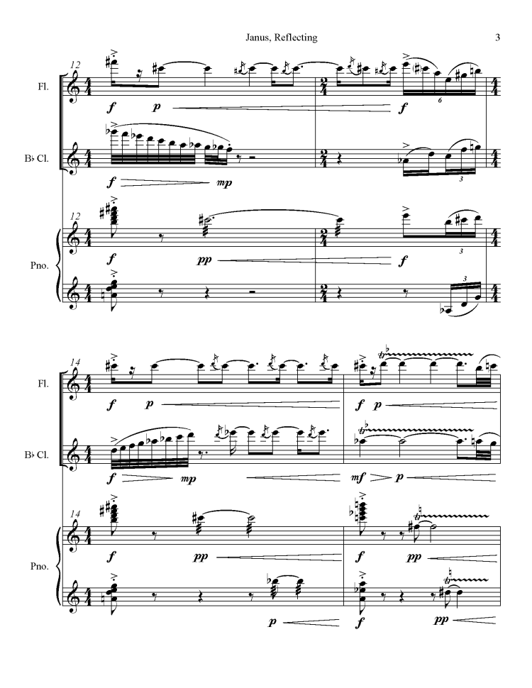 Janus Reflecting Website Pages_Page_5