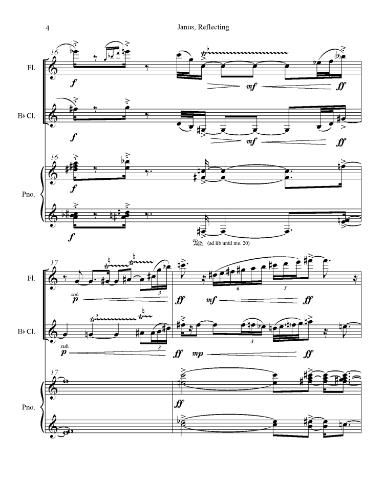 Janus Reflecting Website Pages_Page_6